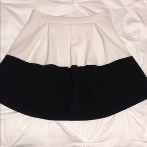 Small Black and White High Waisted Skirt
